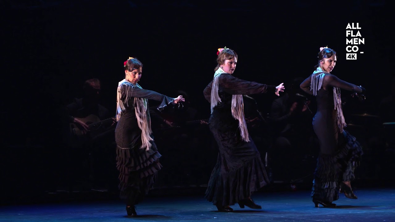 Flamenconautas 