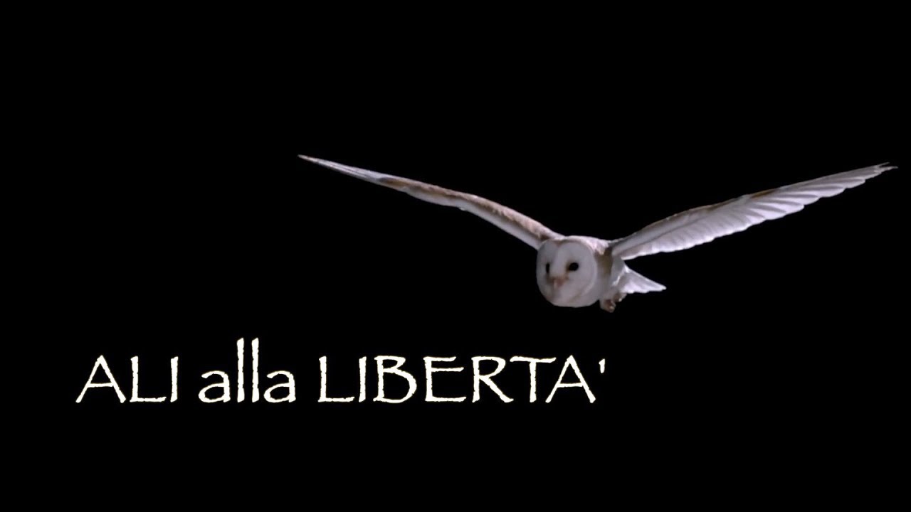 Liberazione Barbagianni            CRIUV-CRAS