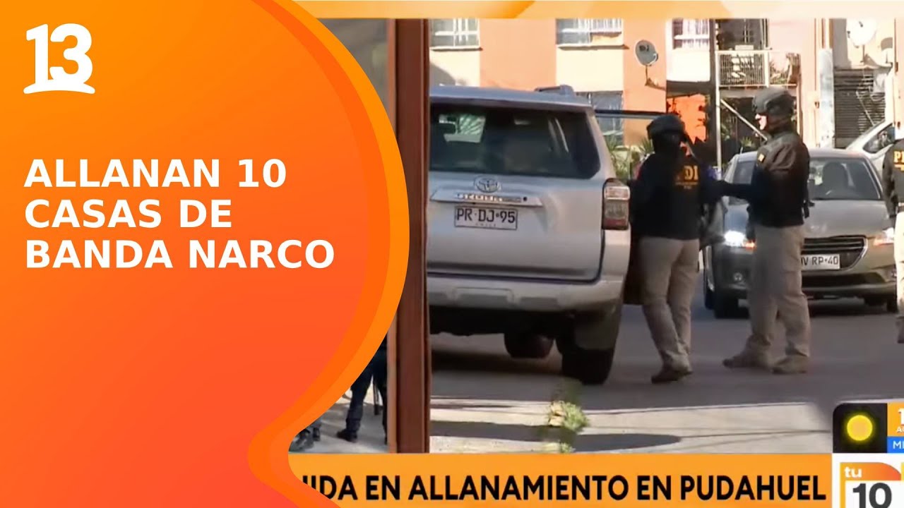 Allanan 10 casas de banda narco en Melipilla: hallaron un mono titi en una de las propiedades