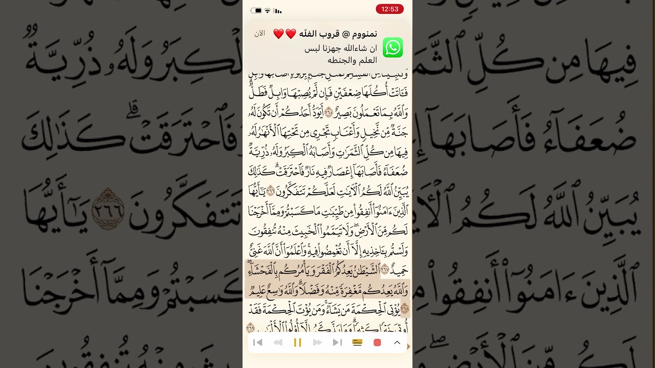 حفظ و تكرار سورة البقرة صفحة 45 - 10 مرات - الشيخ ماهر المعيقلي
