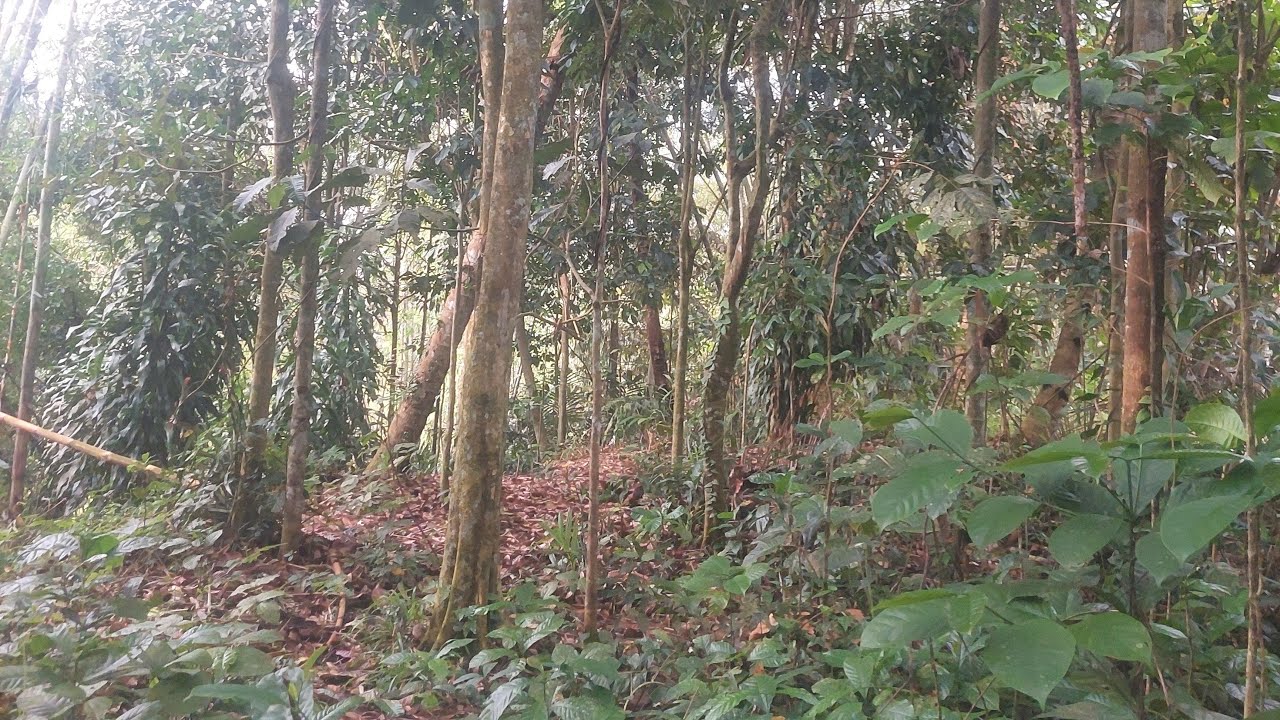 Live Misteri ‼️ cek lokasi angker