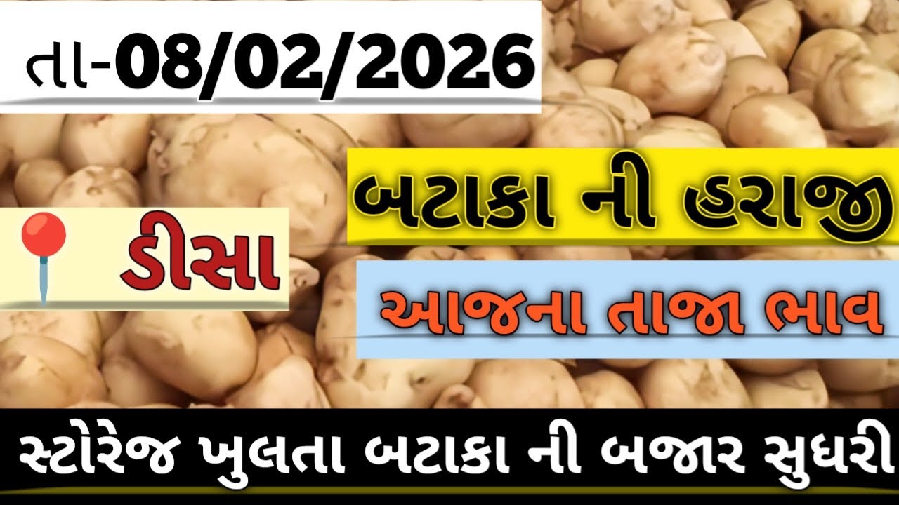 બટાકા ની હરાજી//deesa bataka ni haraji//आलु मंडी #deesa #potato #aalu #new #viralvideo #trendingvide