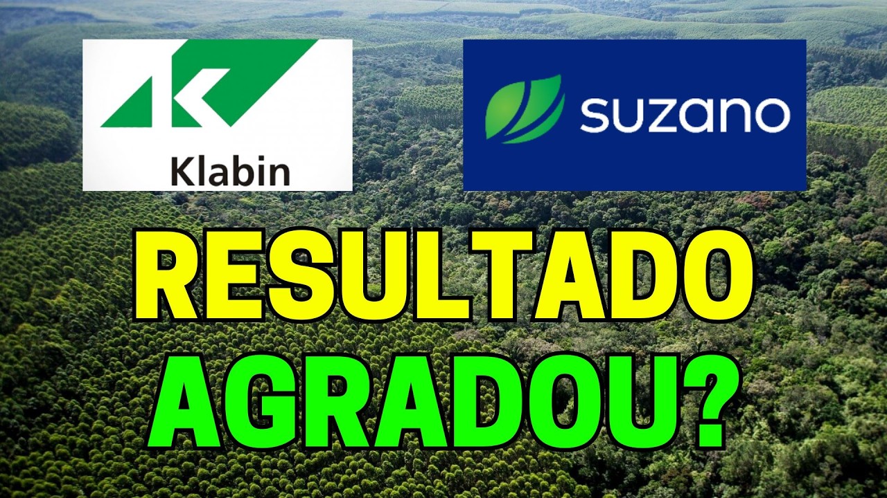 KLABIN (KLBN11) E SUZANO (SUZB3) RESULTADOS ANIMAM OS INVESTIDORES? Well Investidor