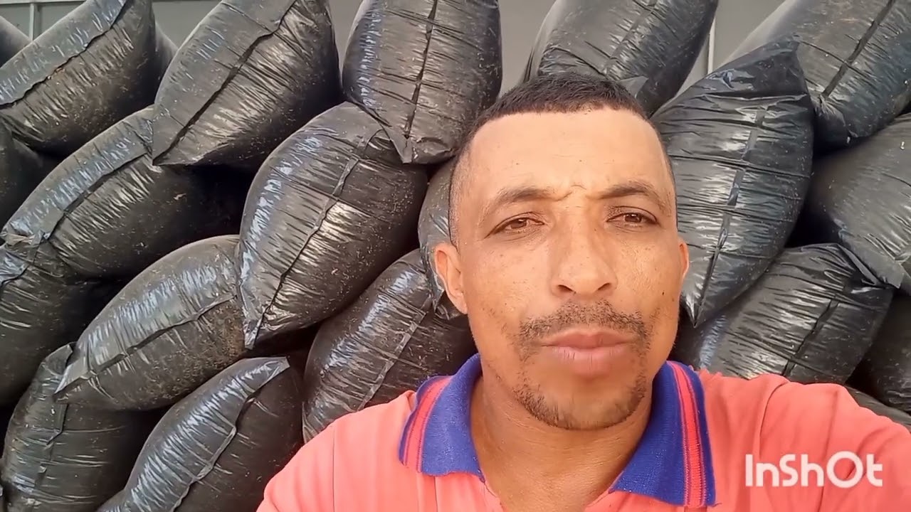 cilaJem de milho 🌽 a venda