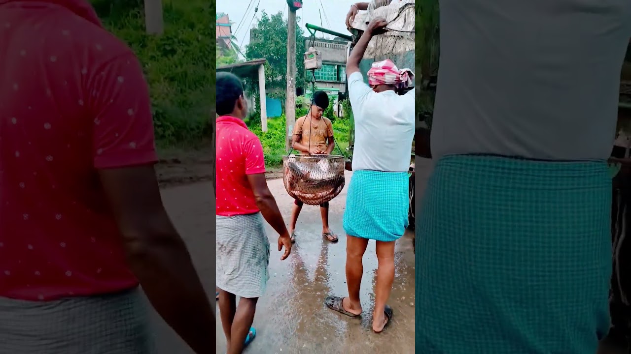 Katwa fish market ...