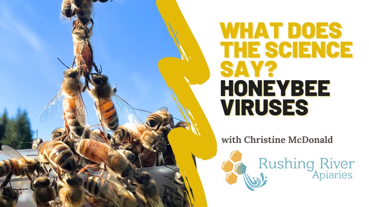 Honeybee Viruses: What Does the Science Say?