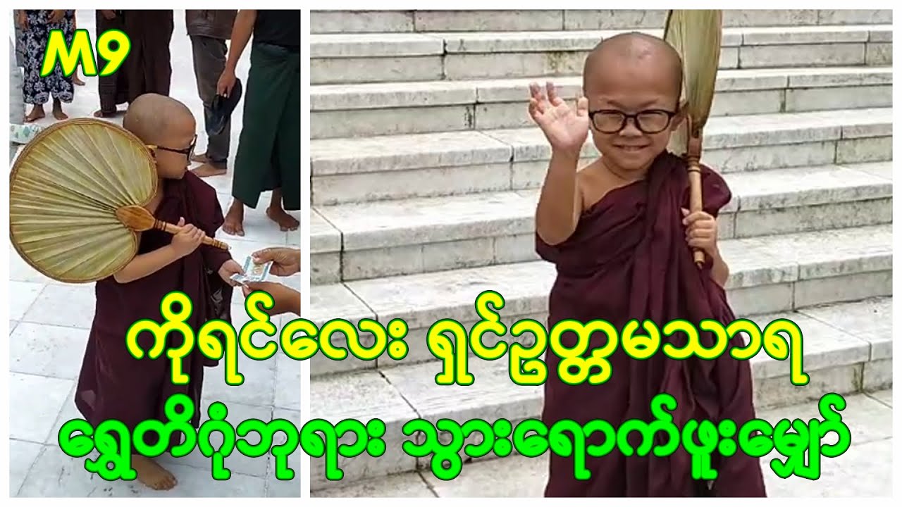 ကိုရင်လေး ရှင်ဥတ္တမသာရ ရွှေတိဂုံဘုရား သွားရောက်ဖူးမျှော်