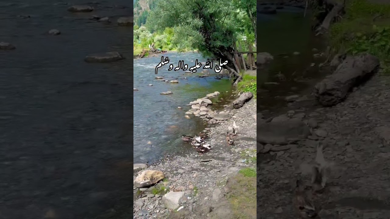 Taobut bala Neelum valley 
