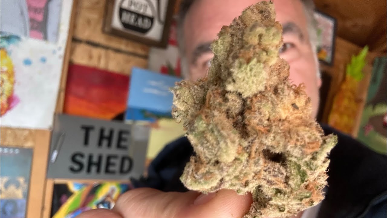 2024 03 07 The Shed! with Broken Coast Cherry Cheesecake 7g