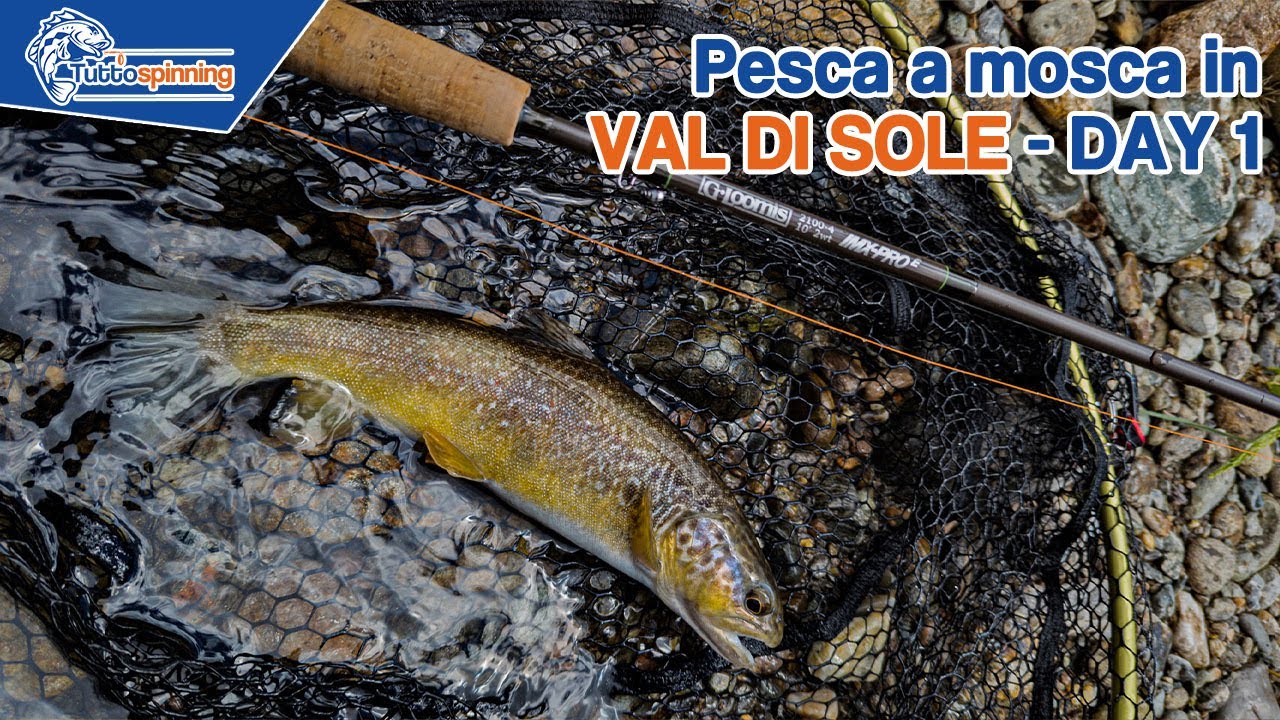 Pesca a mosca sul RABBIES in VAL DI SOLE ☀️ VLOG DAY 1