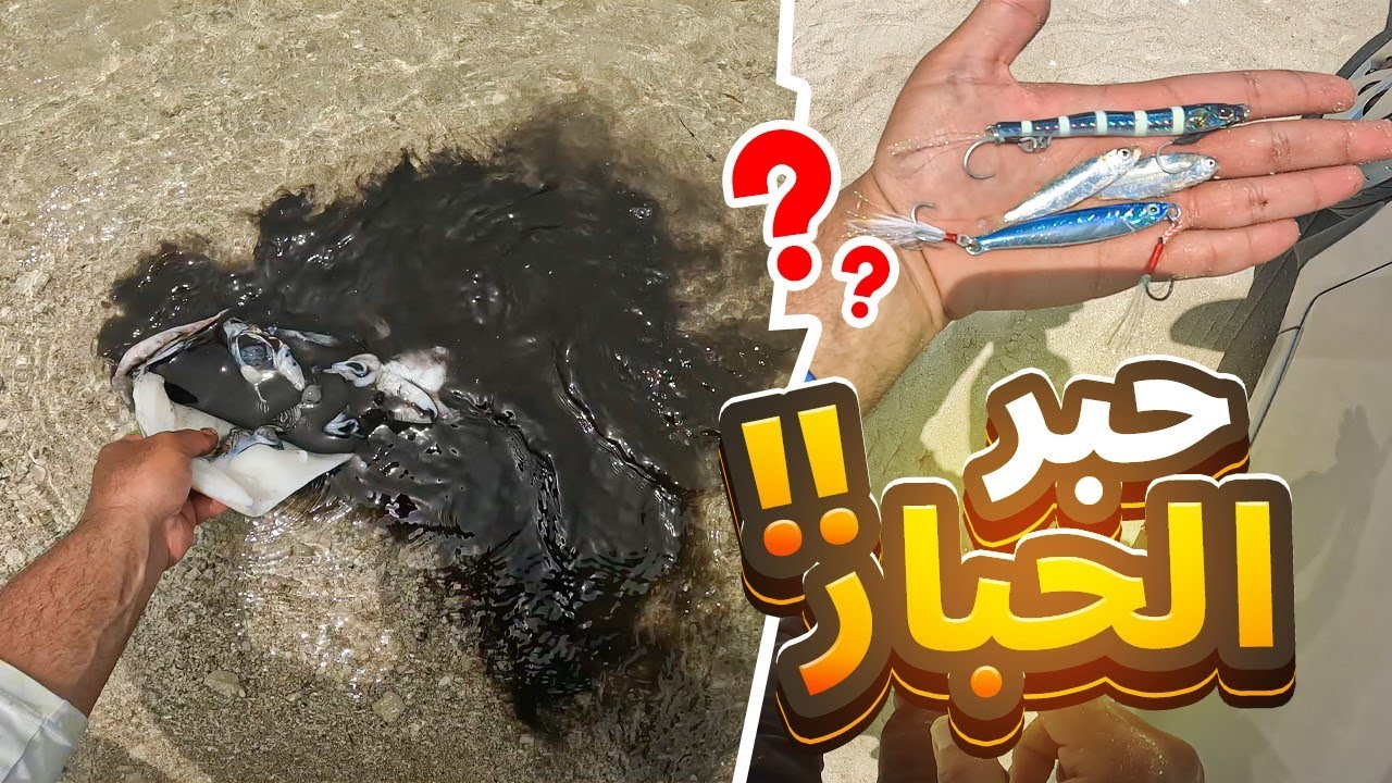 يوم كان فيه الصيد جميل جدا