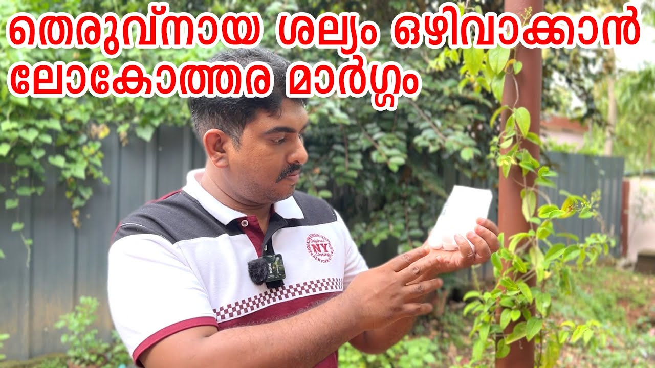 തെരുവ്‌നായ ശല്യം ഒഴിവാക്കാൻ ലോകോത്തര മാർഗ്ഗവുമായി മലയാളി : Keep street Dogs Out of Your compound??