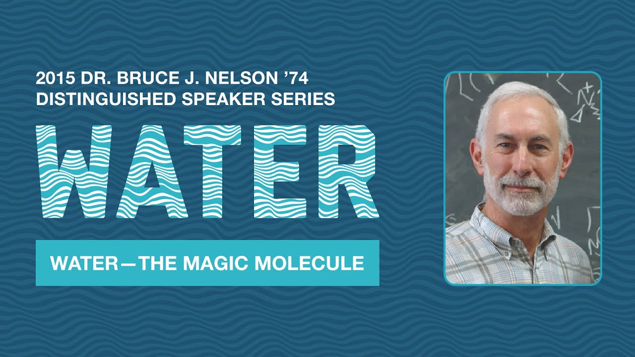 Chemist Michael Fayer - 2015 Nelson Series