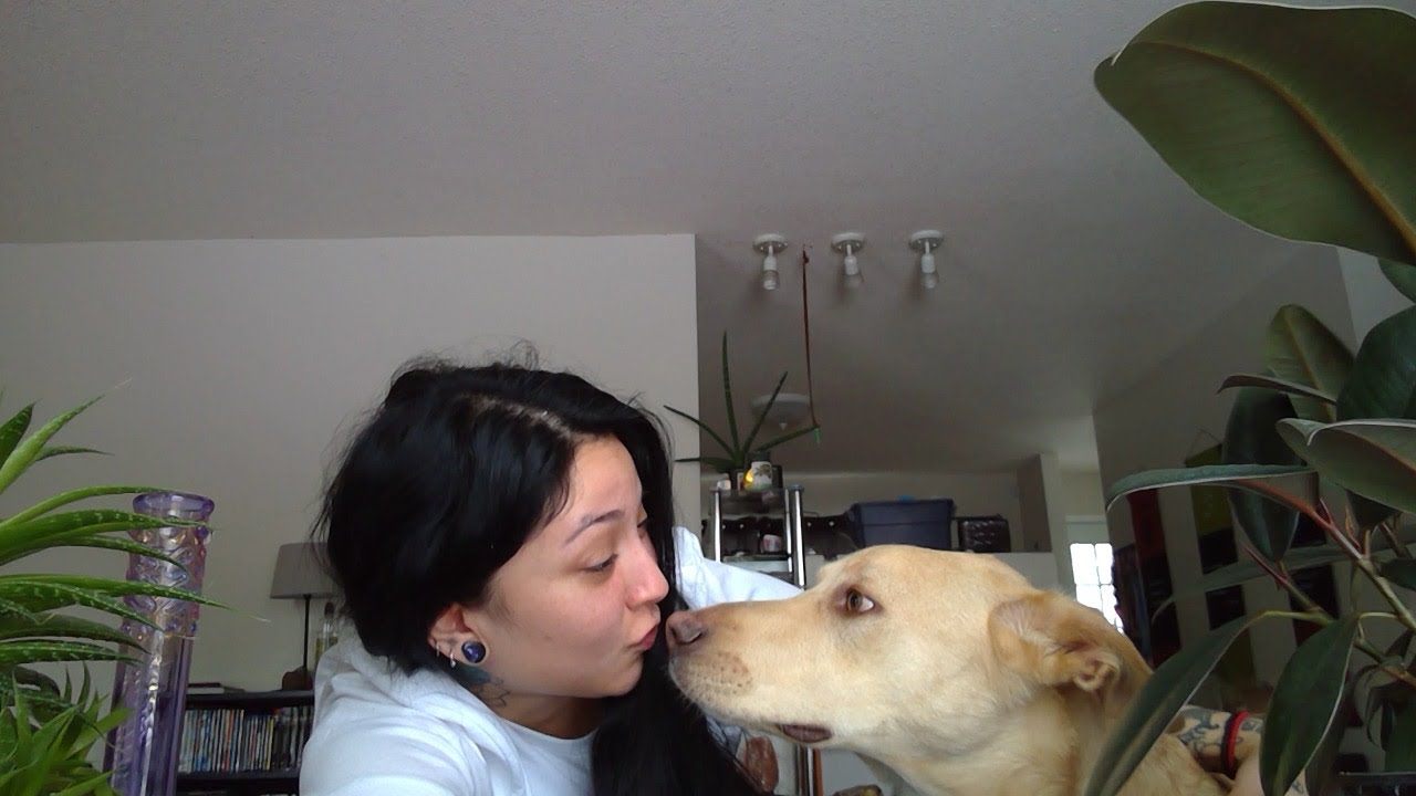 Morning Glory with BcBudGal