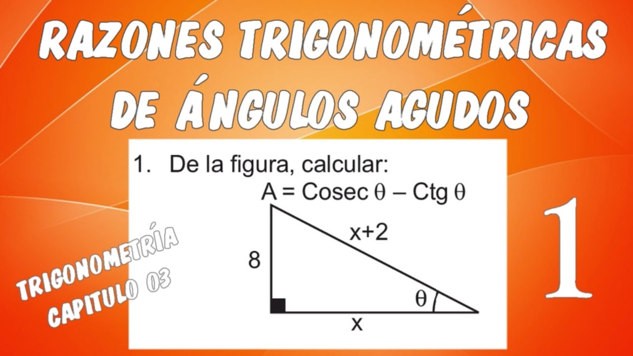RAZONES TRIGONOMÉTRICAS DE ÁNGULOS AGUDOS I - TRIGONOMETRÍA CAPÍTULO 03 EJERCICIO 01