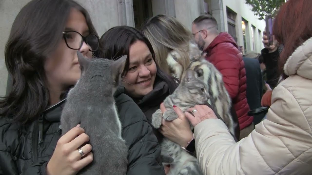 San Antón 2025 Procesión y bendición de los animales