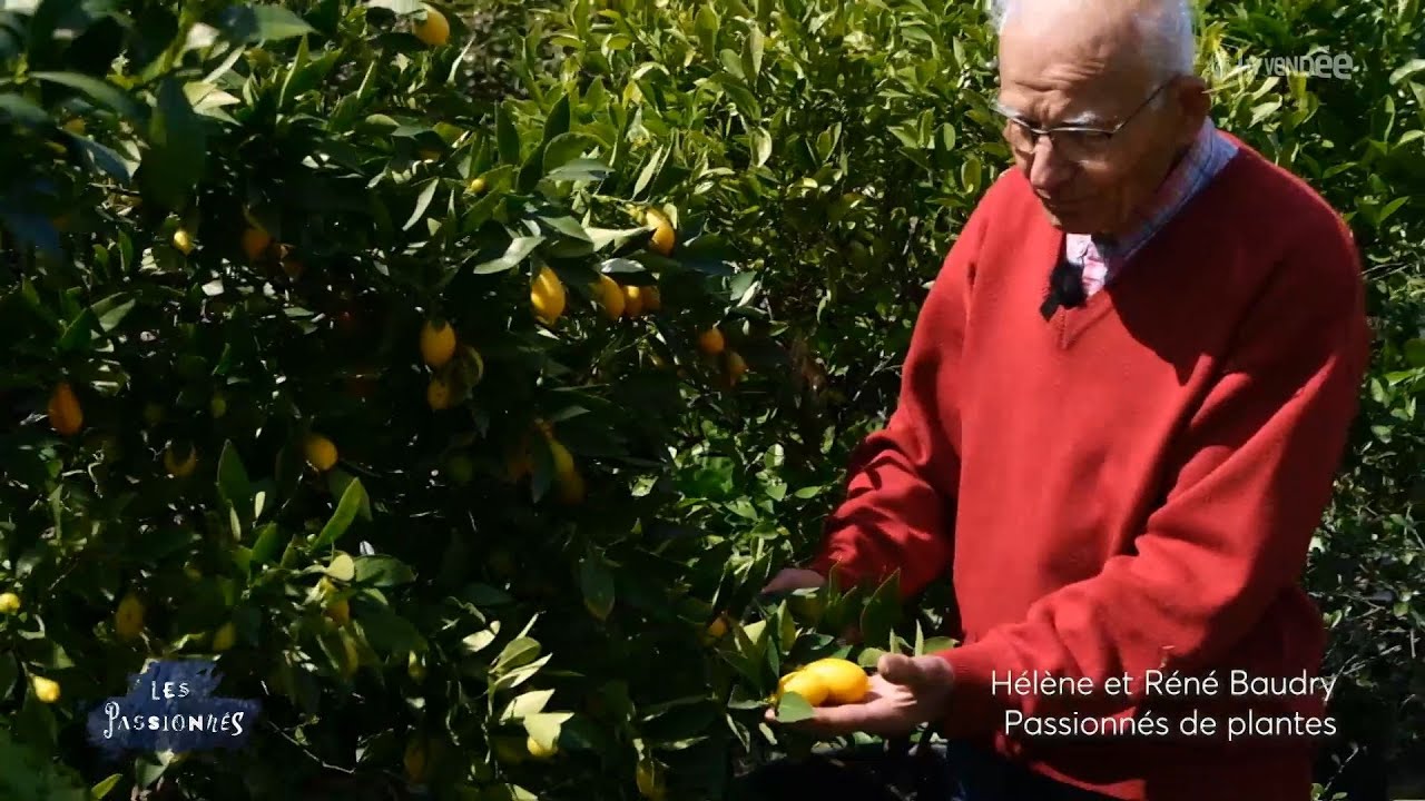 Les passionnés - Les plantes