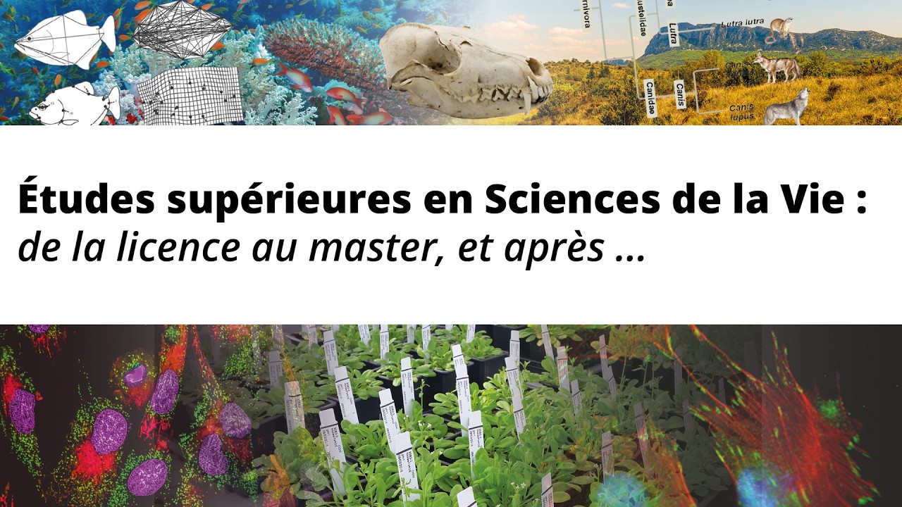 Études supérieures en Sciences de la Vie : de la licence au master, et après ...