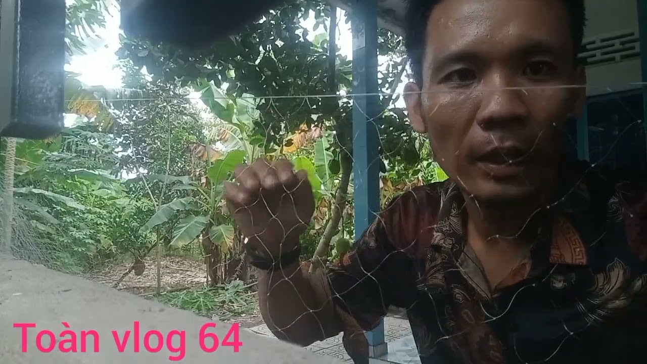 Cách làm lưới lùa chuẩn cho anh em mới vào nghề chim đêm