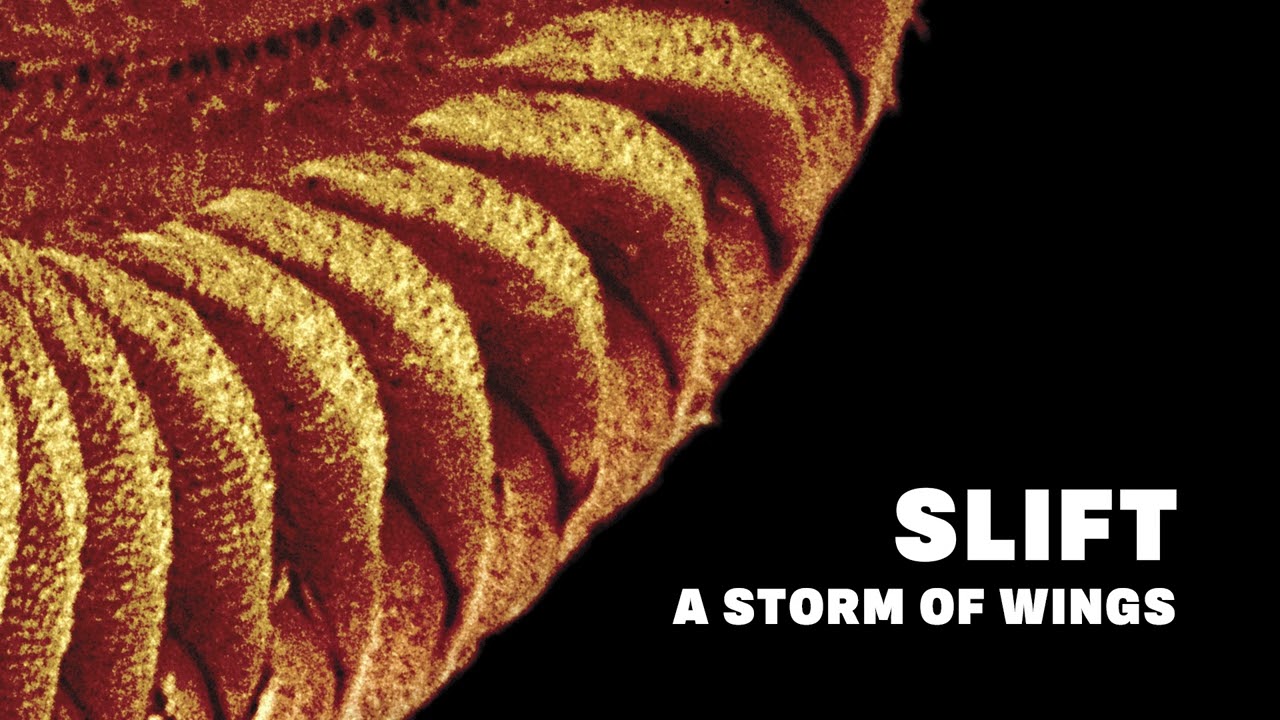 SLIFT - A Storm of Wings (Official Audio)