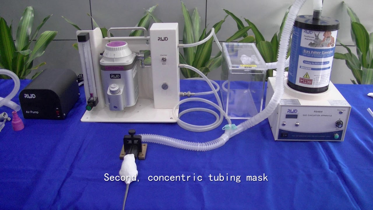 Small Animal Anesthesia System Setup