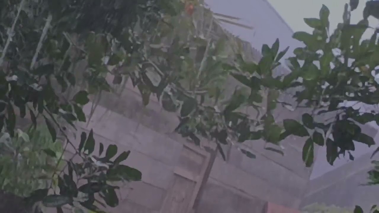 Thunder Sounds & Rain Sounds: Peaceful Rain on Tin Roof