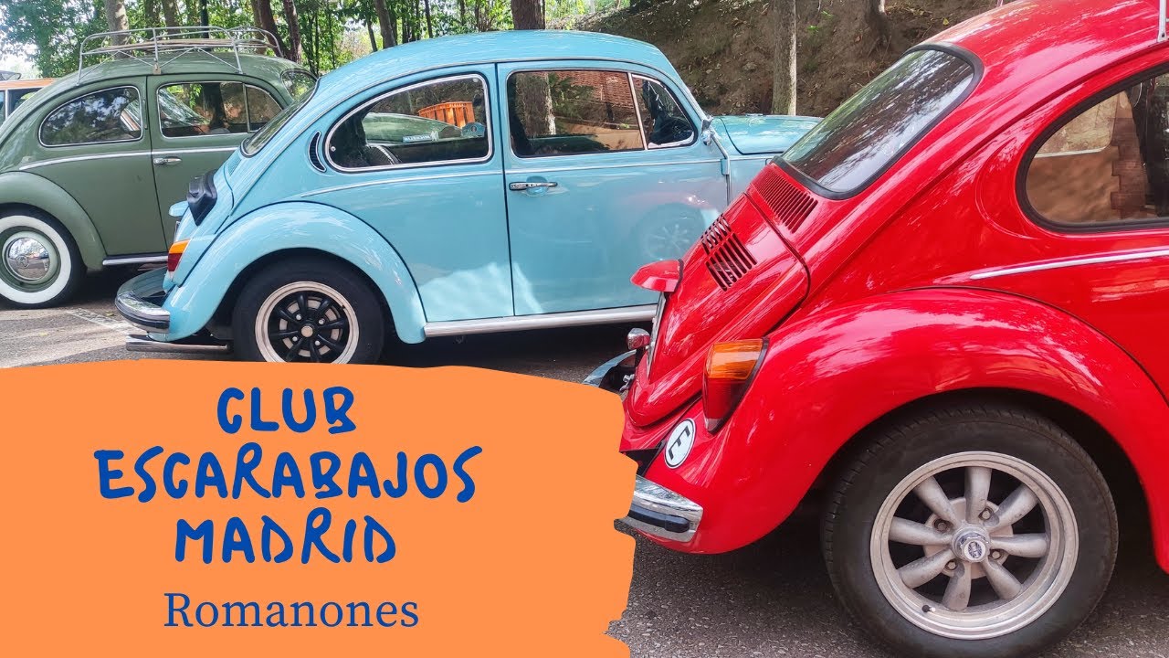 🚌 𝐂𝐋𝐔𝐁 𝐃𝐄 𝐄𝐒𝐂𝐀𝐑𝐀𝐁𝐀𝐉𝐎𝐒 𝐃𝐄 𝐌𝐀𝐃𝐑𝐈𝐃 ☮️ I Concentración Romanones (Guadalajara)