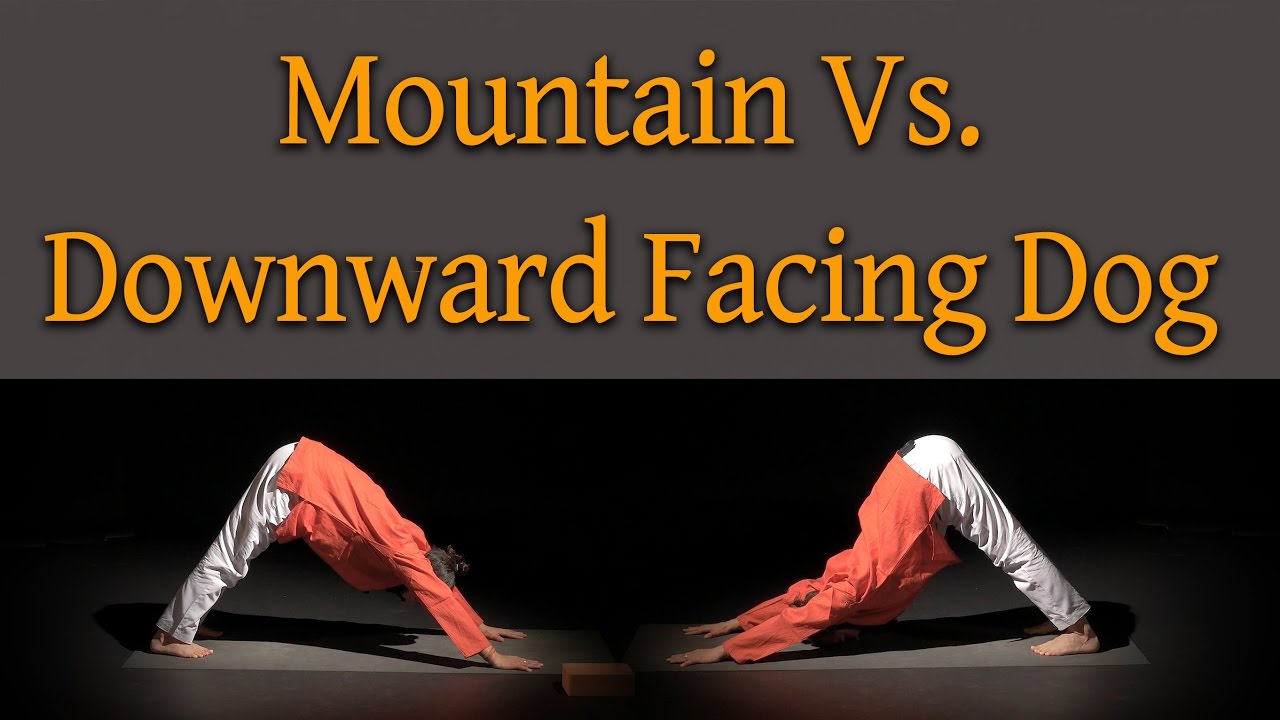 Mountain Pose vs Downward Facing Dog - Yoga Misconception Clarified by Yogrishi VIshvketu