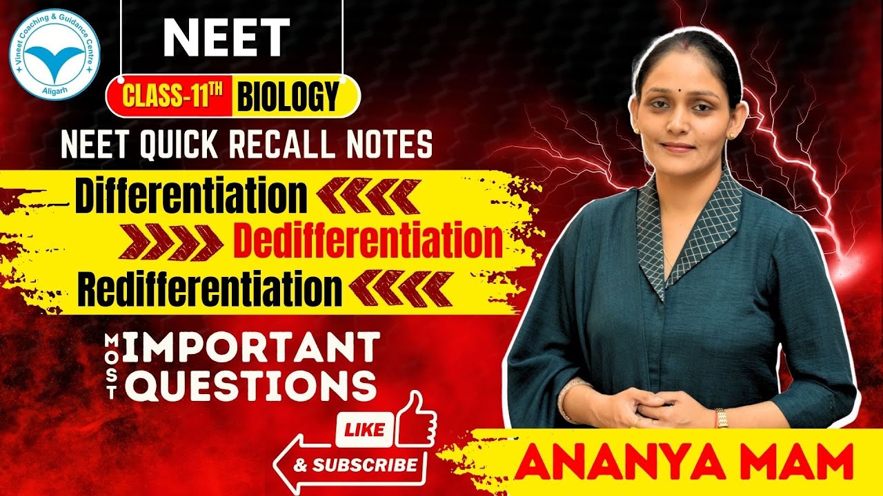 NEET |Class 11 |Biology | Differentiation,Dedifferentiation & Redifferentiation | Quick Recall Notes