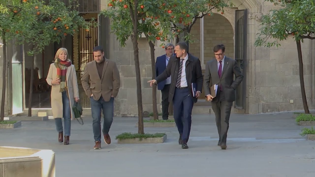 Es constitueix la Taula del Senglar per fer front a la sobrepoblació