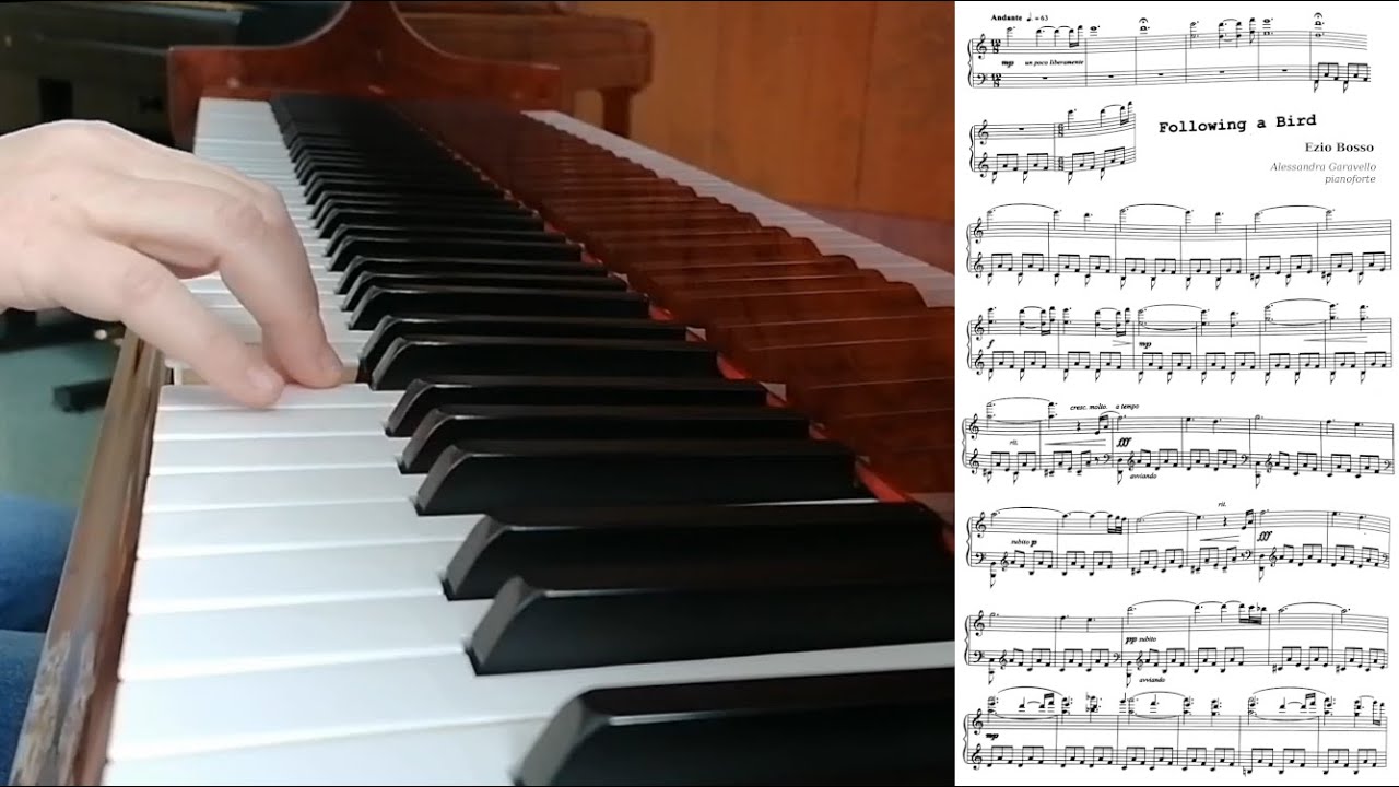 Following a Bird, Ezio Bosso - Alessandra Garavello, pianoforte