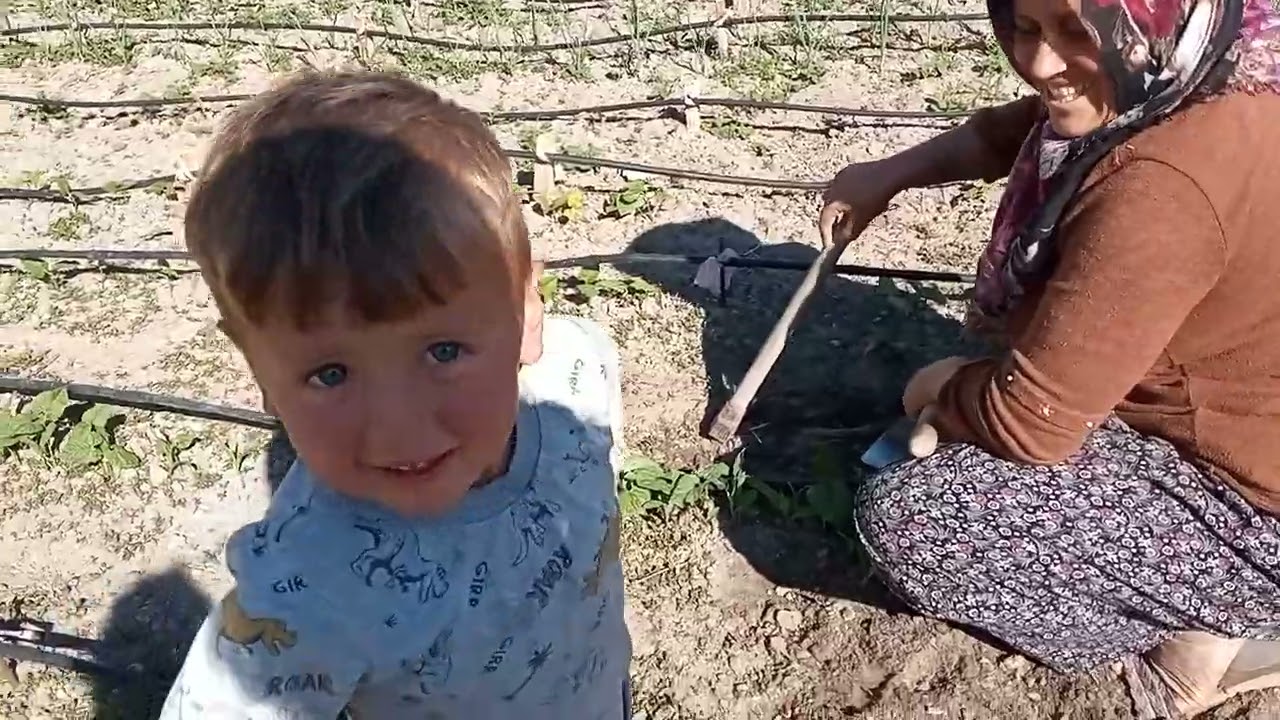 🌷🌷🌹🌹🌹vlog tana yıkadık dut topladık🤭🤭🤭🤭halille