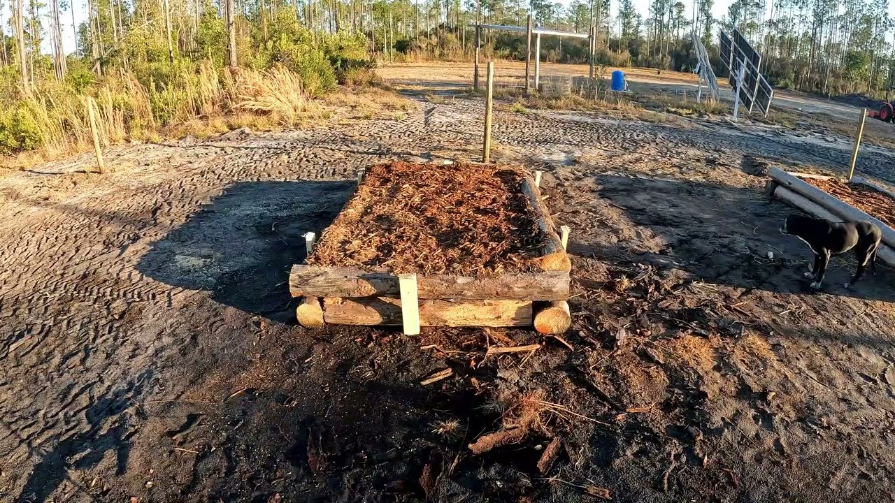 From Timber to Garden: Log Beds for a Better Growing Season