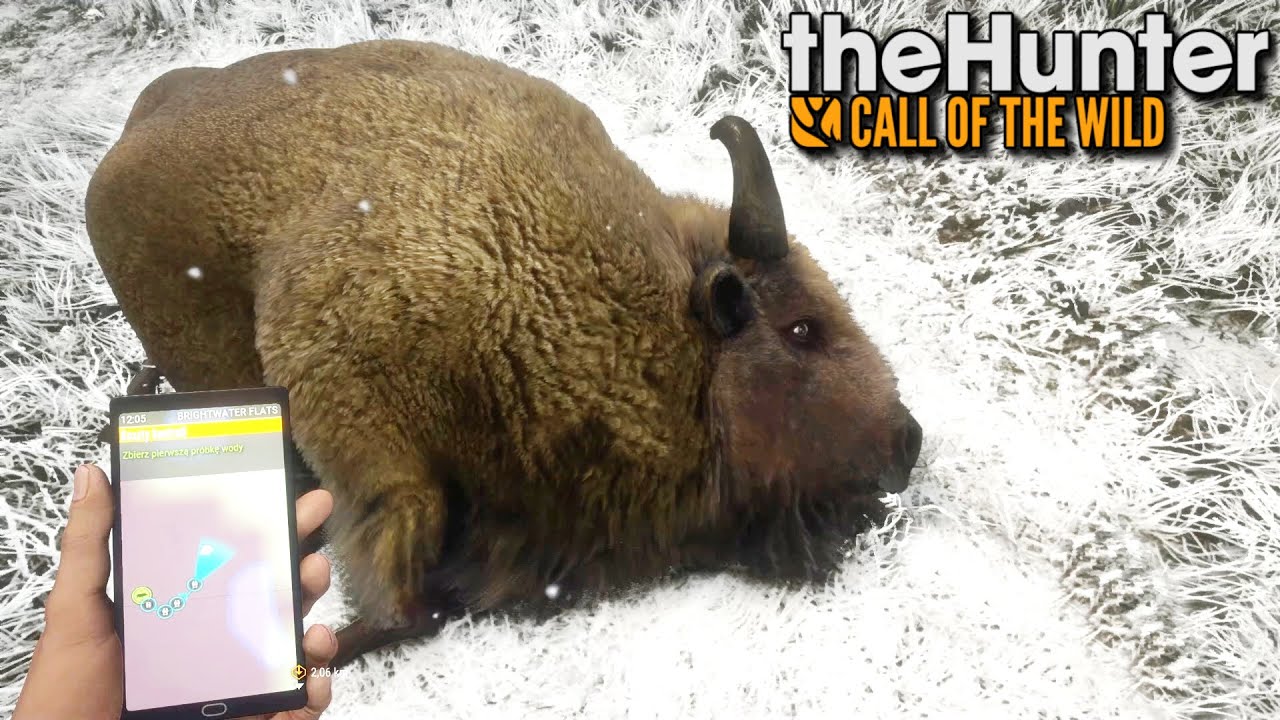 Bizon preriowy | theHunter: Call of the Wild (#55)