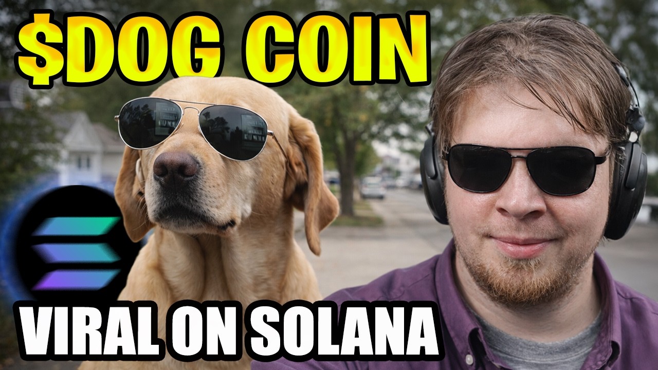 Монета $DOG набирает популярность на Solana | Вот что я обнаружил