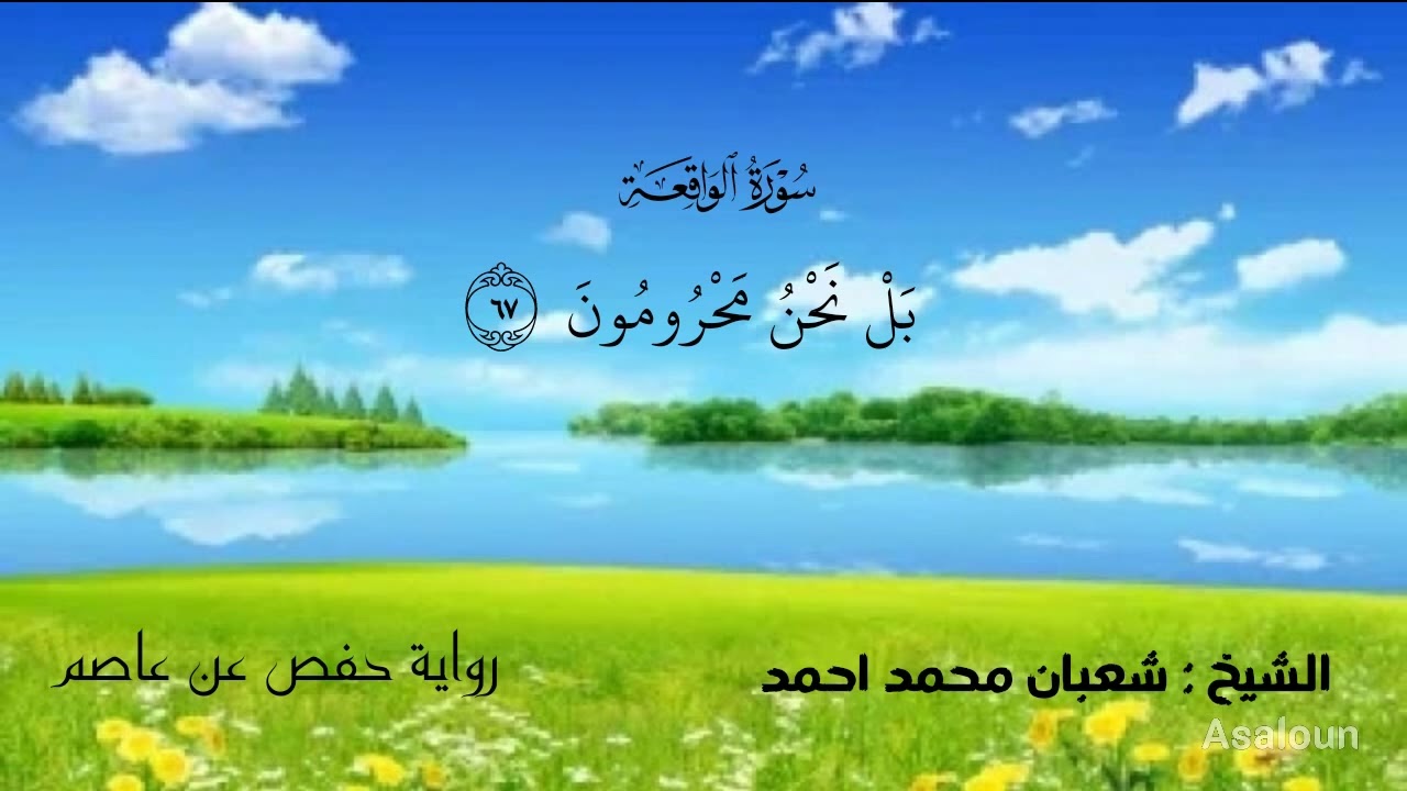 سورة الواقعة. الشيخ شعبان محمد احمد 