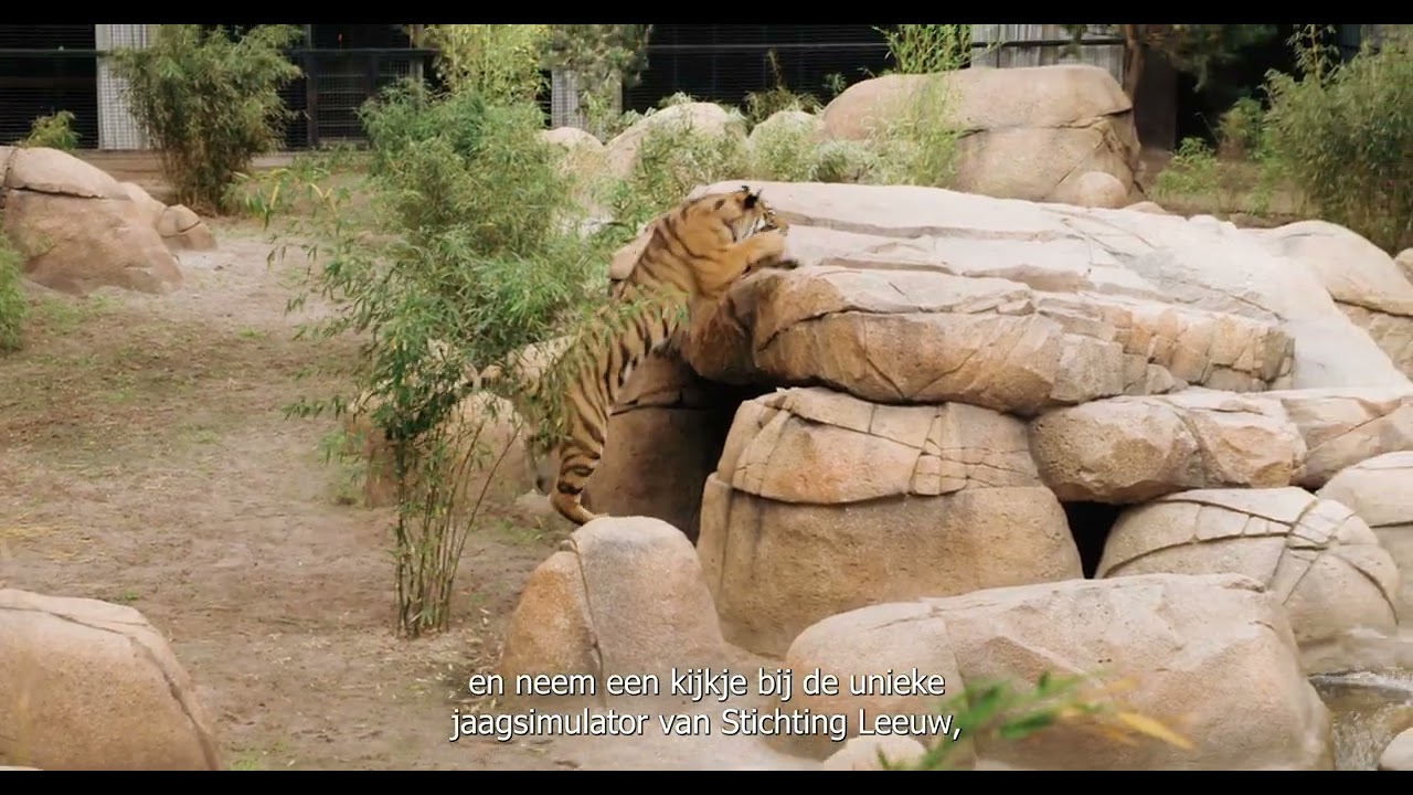 Kom jij Dierenpark Hoenderdaell ook ontdekken?