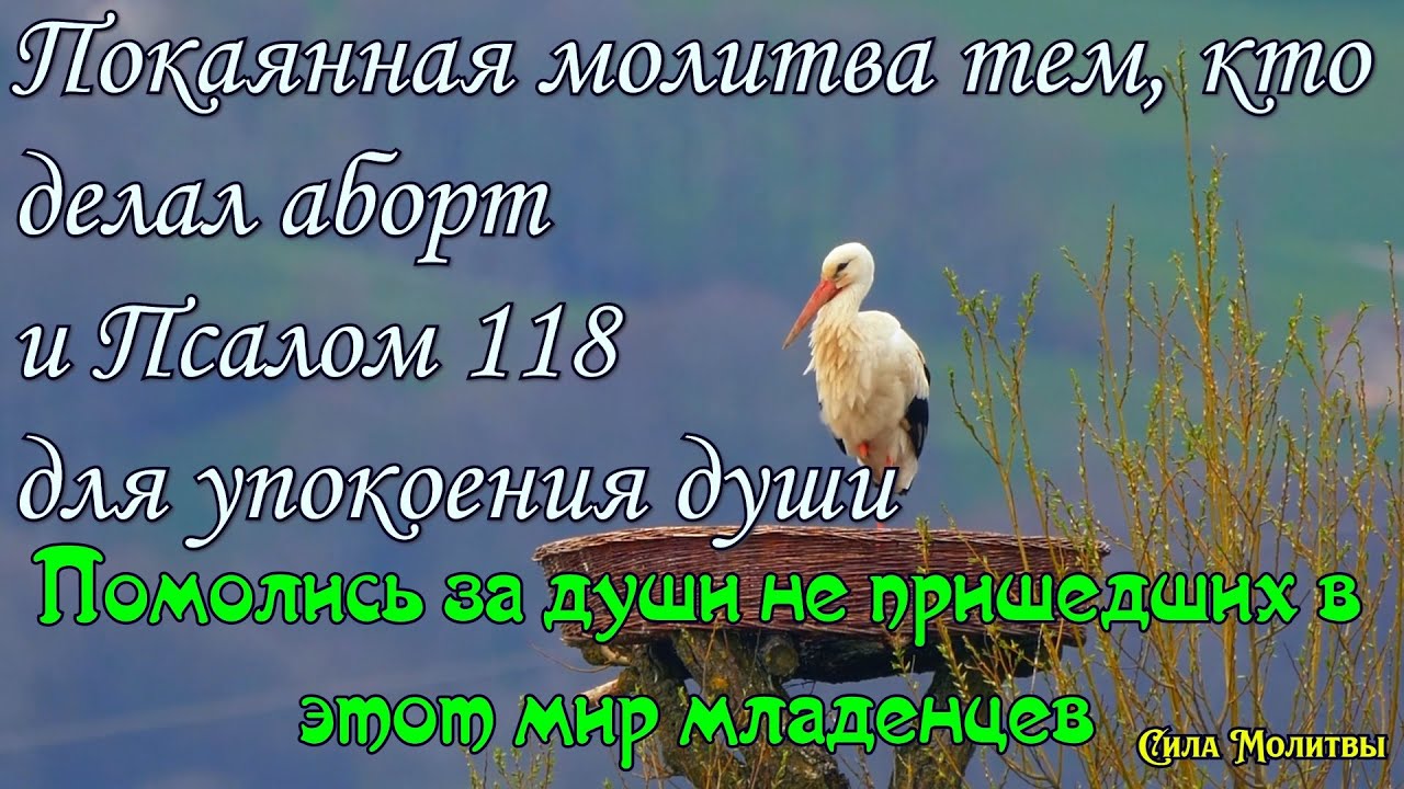 Покаянная молитва тем, кто делал аборт и псалом 118, помолись за не рожденных детей Сила Молитвы