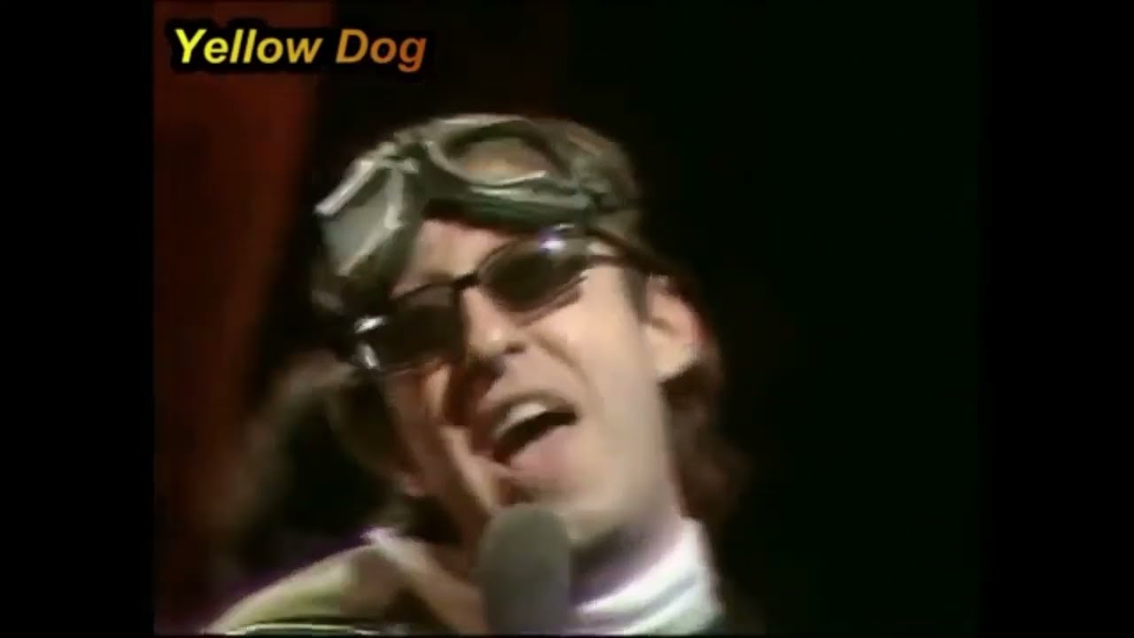 YELLOW DOG V FOX Just One More Night