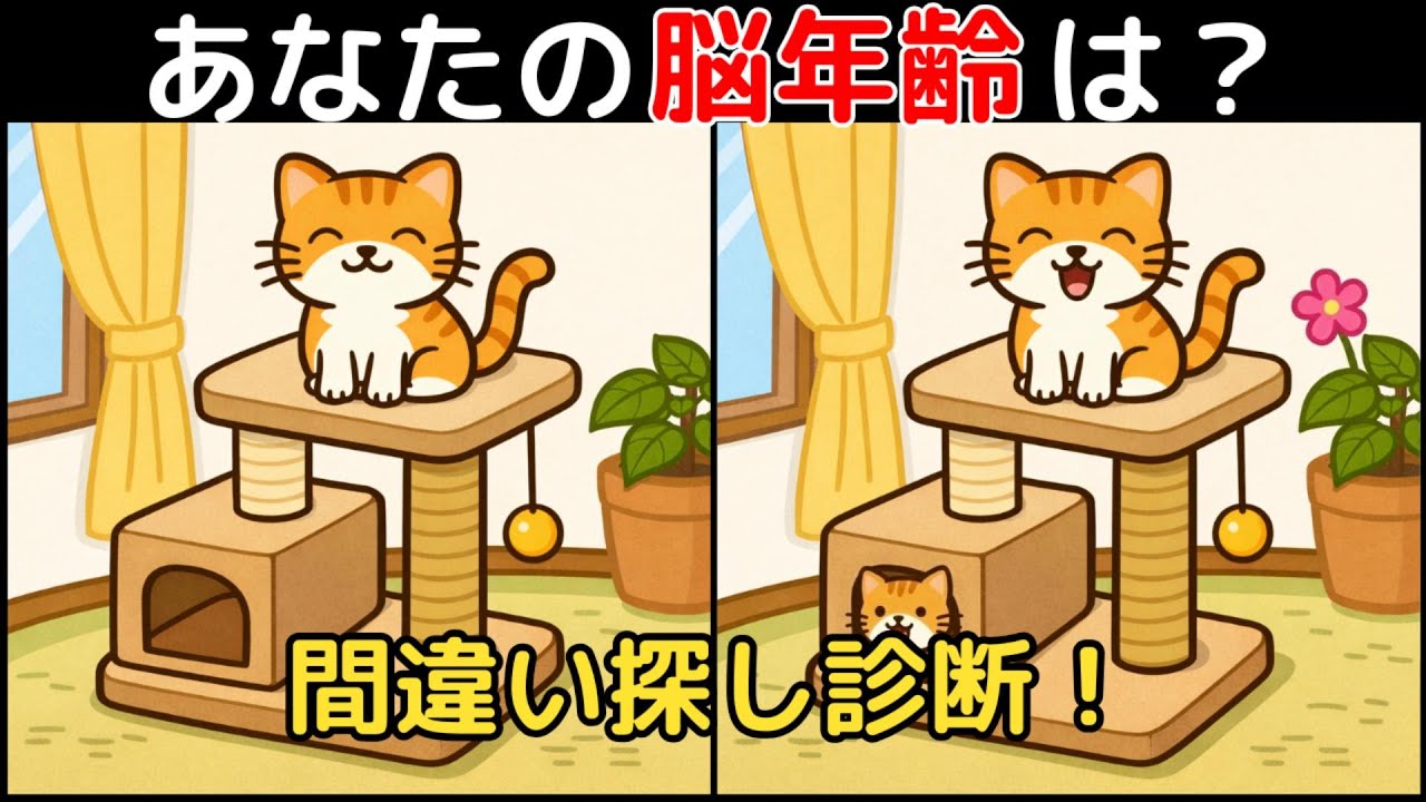 【間違い探し×脳トレ】60代以上も楽しめる認知症予防ゲーム！簡単～難しい全10問！