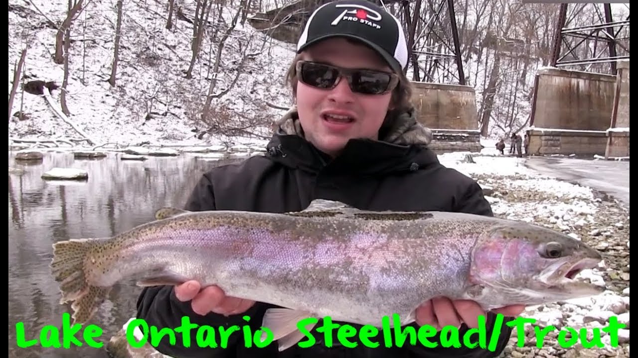 Lake Ontario Winter Steelhead & Trout