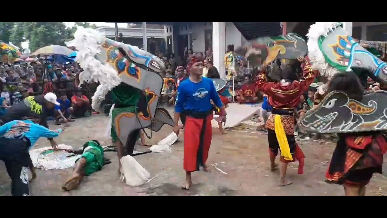 3 CELENG CANTIK MELAWAN KUDA KEPANG