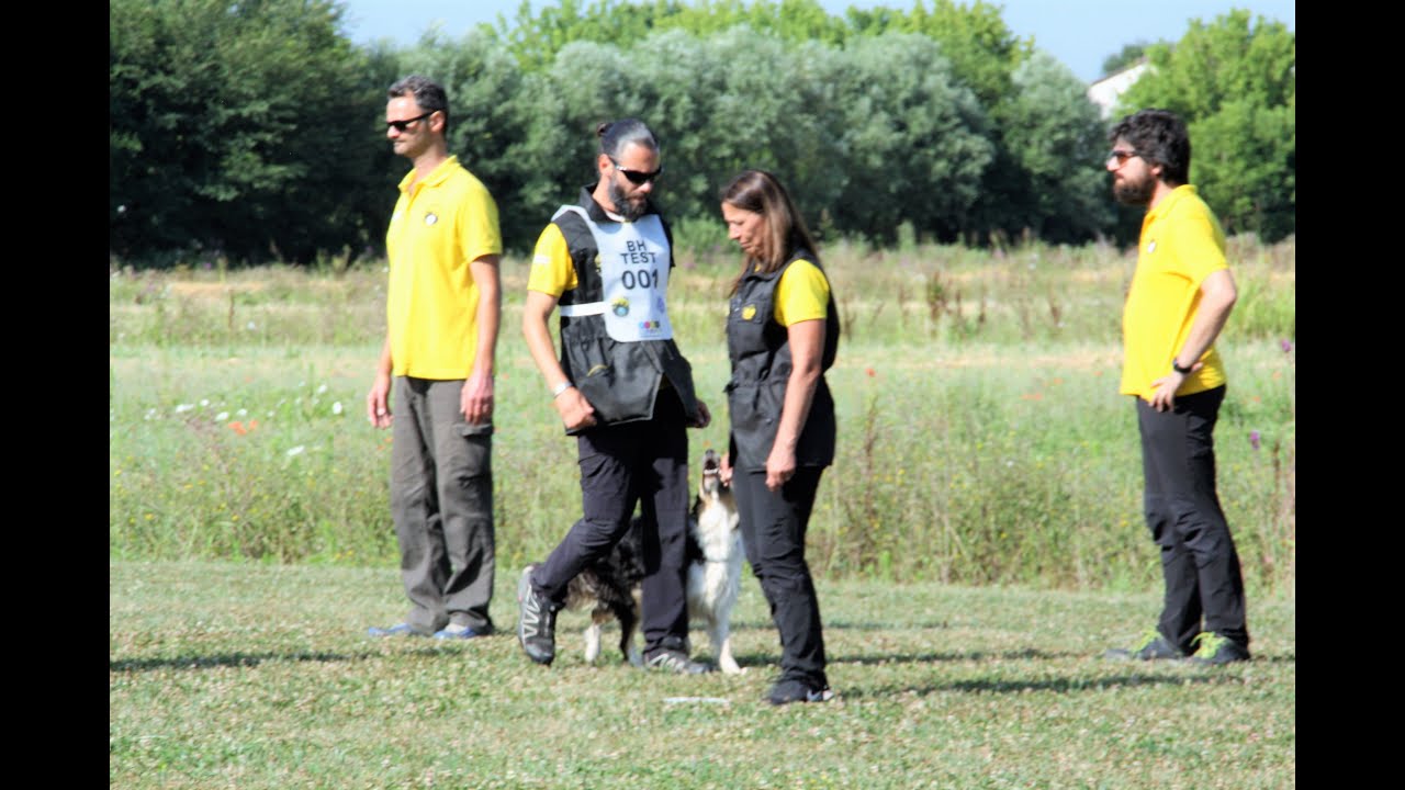 BH TEST 2018 GIUDICE CODEMO STEFANO - Sez.A 59/60 punti Stefano Bonaldo con Pimpa The Shepherd