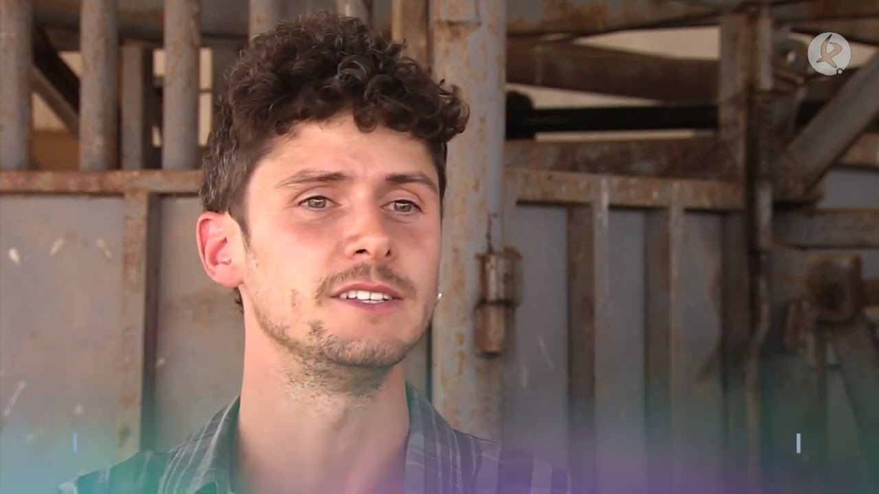 Unas fundas para salvar su vida | Tierra de Toros