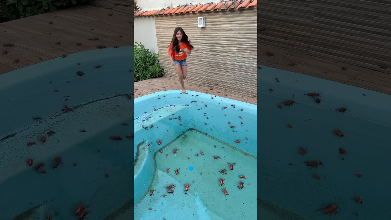 PISCINA COM BARATAS
