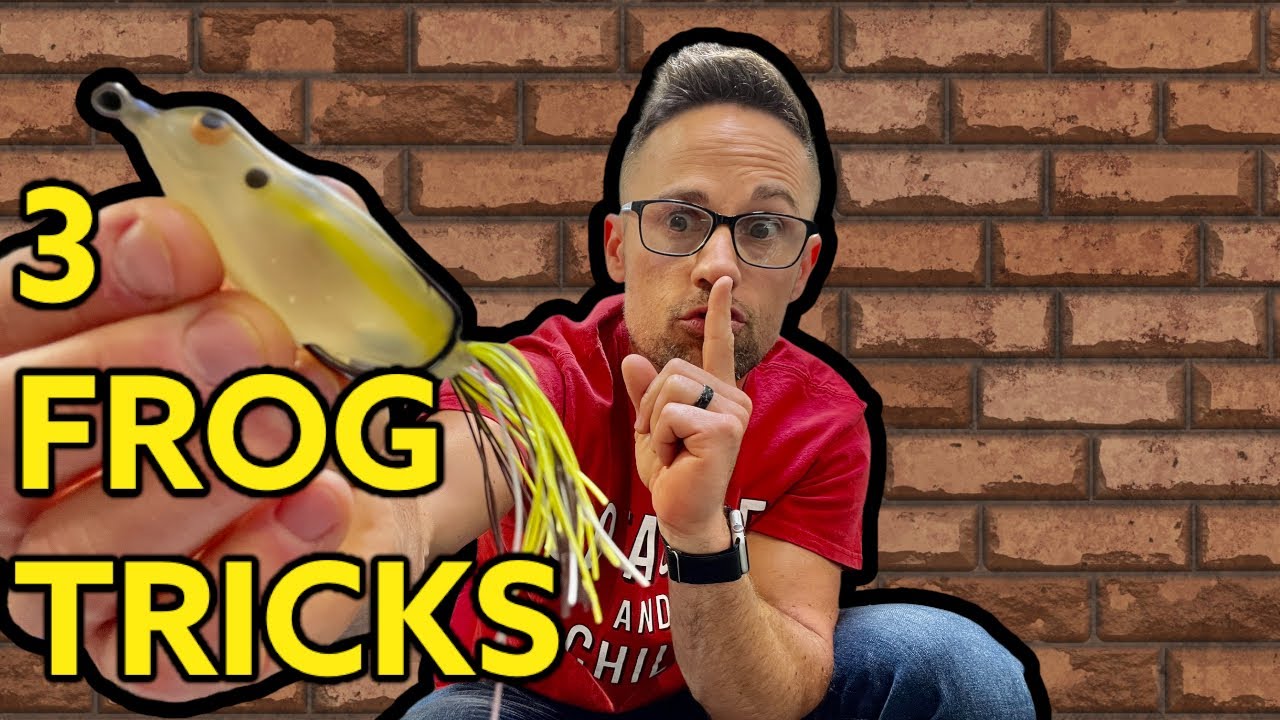 3 FROG TRICKS I DO TO EVERY FROG