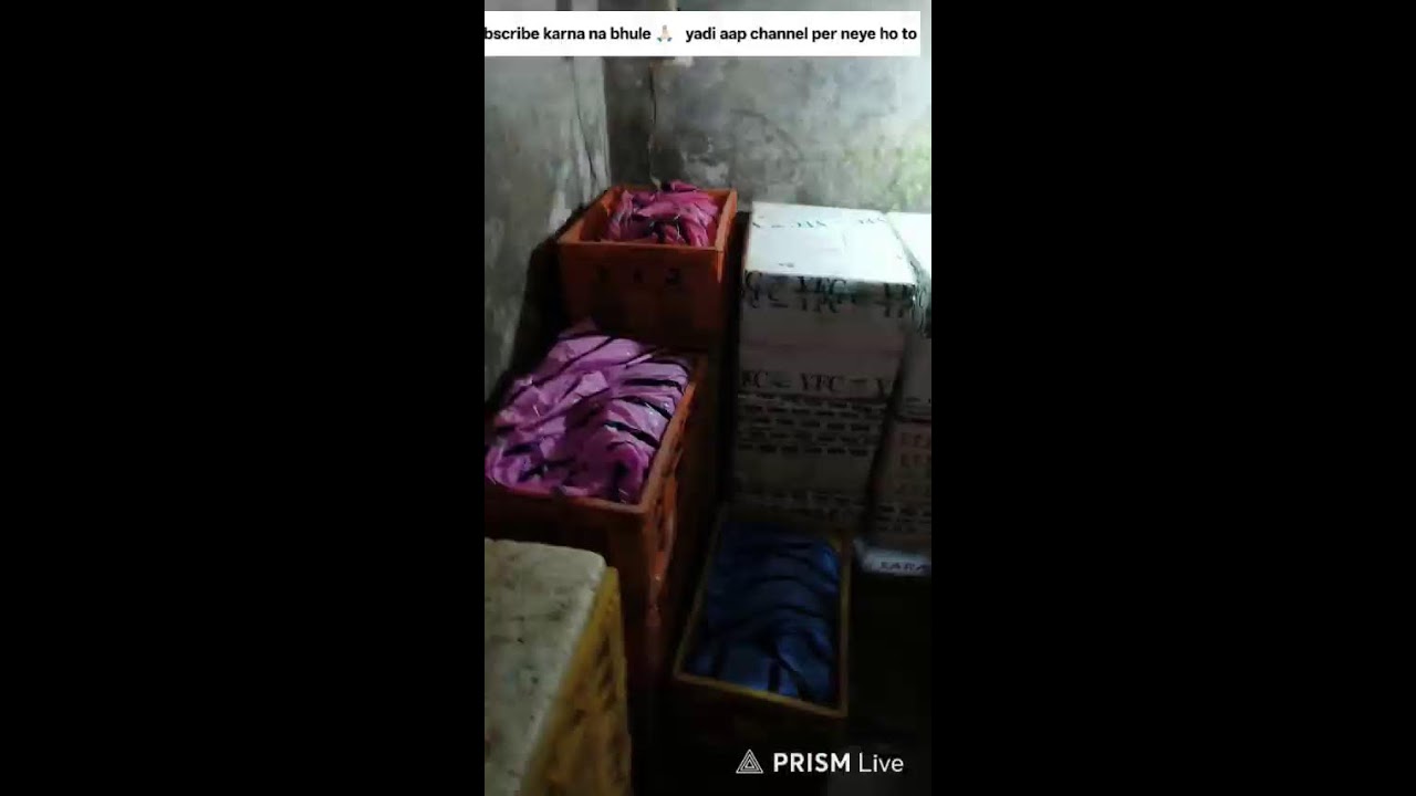 Live streaming of kunu fish cutting