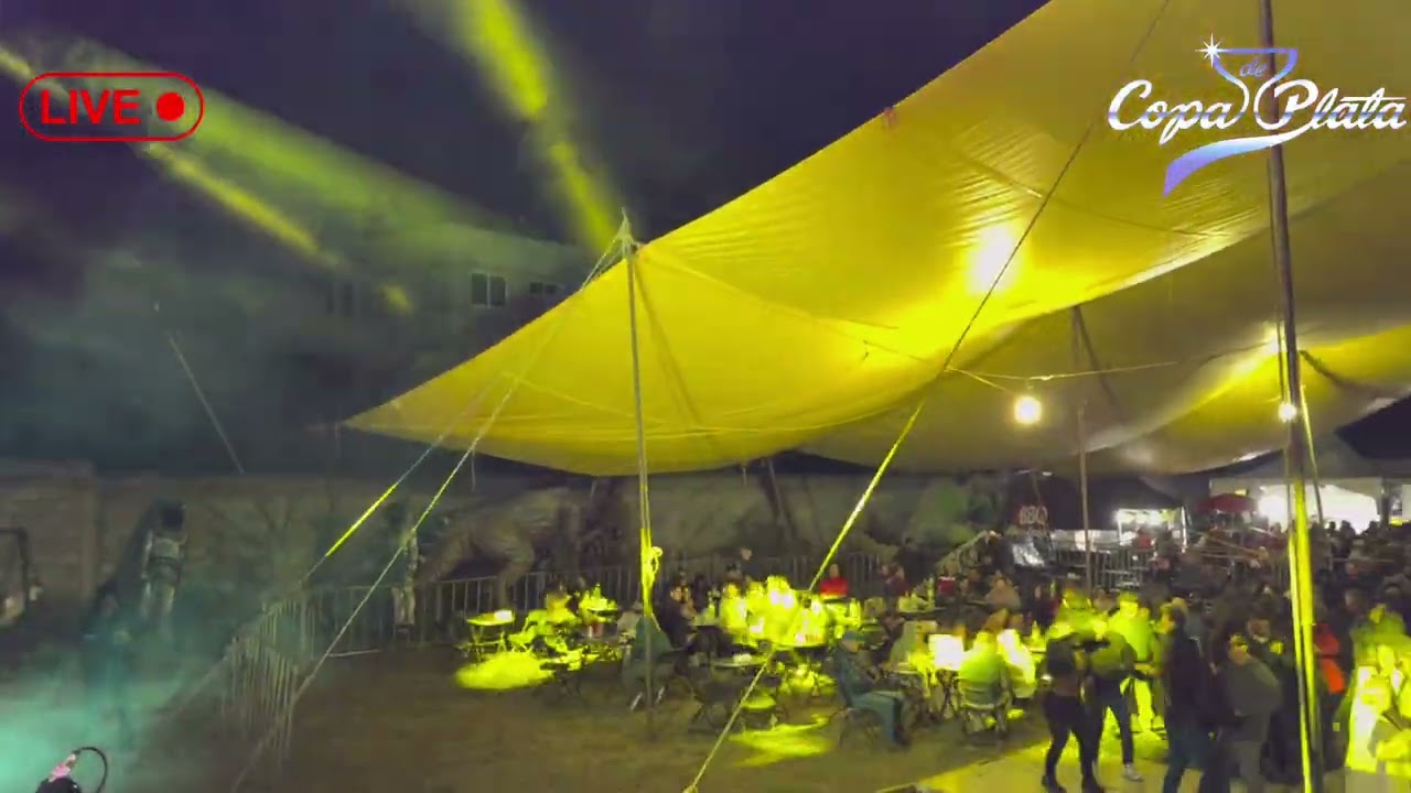 Y a bailar con paso fino y la única y original copa de plata🕺💃