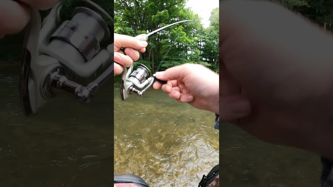 Insane BIG FISH Fight 🥊💥 #jesus #godisgood #shorts #fishing #fish #trout #bigfish #foryou #viral