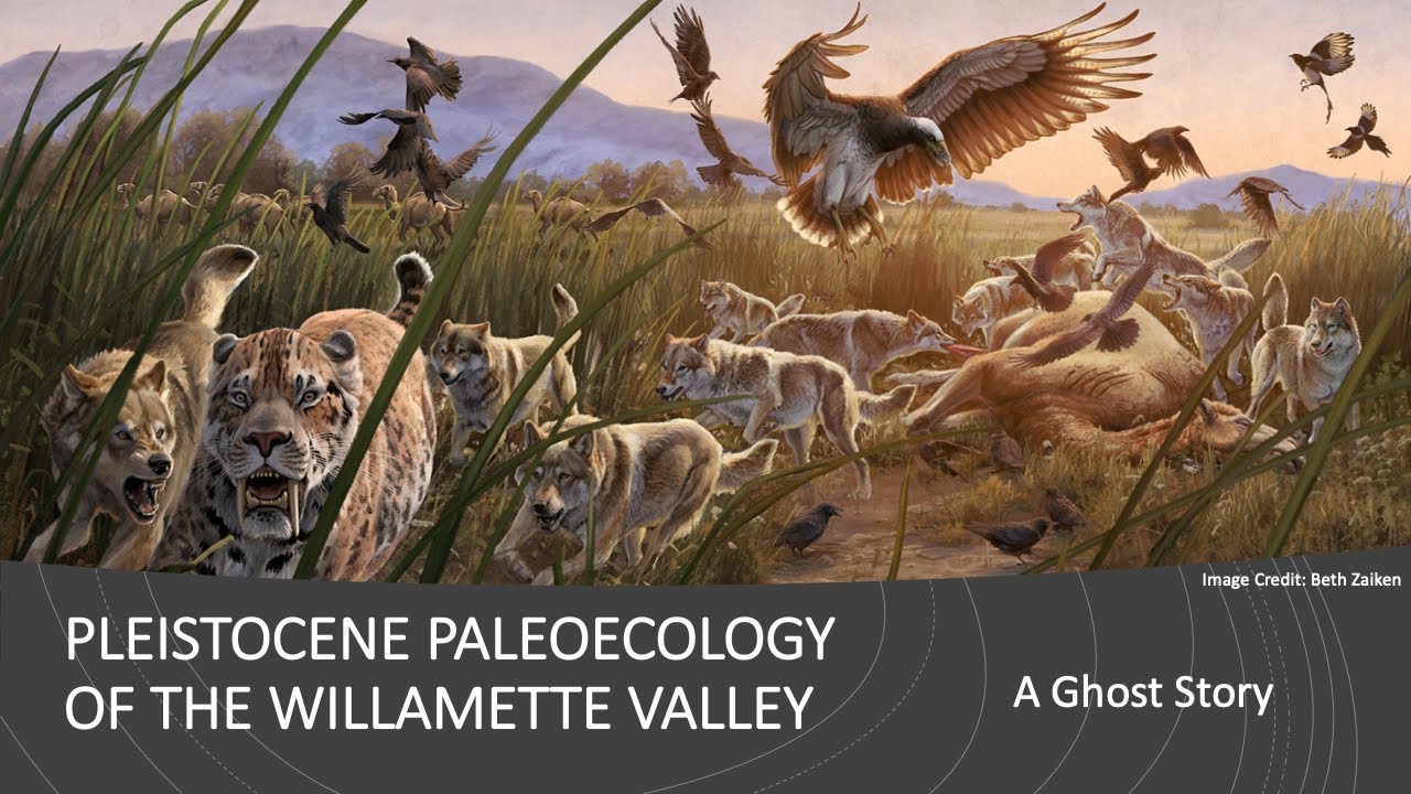 Sips 'n' Science: Pleistocene Paleoecology of the Mid-Willamette Valley